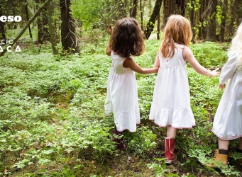 3 niñas juegan en el bosque