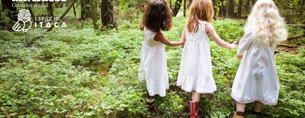 3 niñas juegan en el bosque