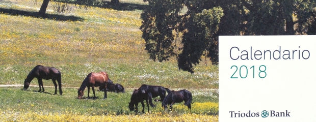 portada del calendario, aparecen unos caballos pastando
