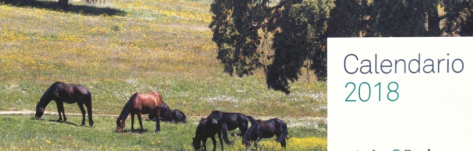 portada del calendario, aparecen unos caballos pastando