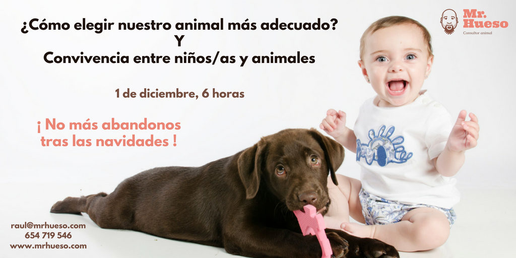 formación Zaragoza niños y animales Mr. Hueso