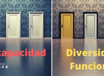 diferencia entre discapacidad y diversidad funcional explicada en el artículo